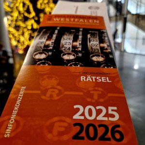 4. Sinfoniekonzert (Gelsenkirchen) Bild