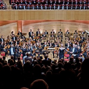 Sinfoniekonzert XI Bild