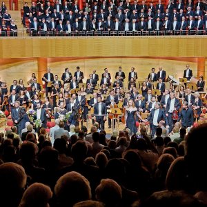 Sinfoniekonzert XI Bild