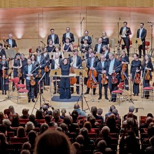 Sinfoniekonzert VIII Bild