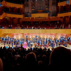 Beet­hoven Violin­konzert Bild