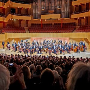 Sinfoniekonzert VIII Bild