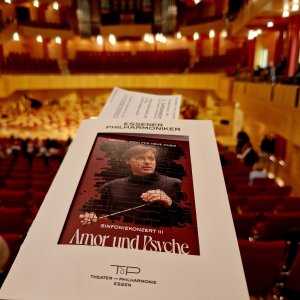 Sinfoniekonzert III Bild