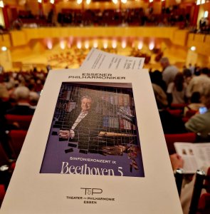 Sinfoniekonzert IX Bild