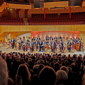 Sinfoniekonzert VIII Bild