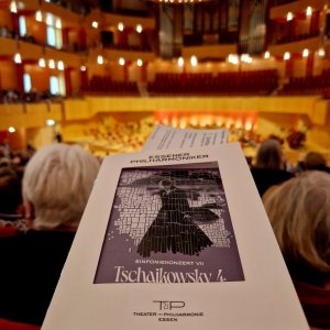 Sinfoniekonzert VIII Bild