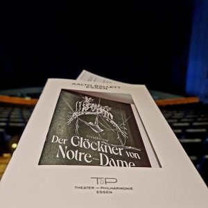 Der Glöckner von Notre-Dame Bild