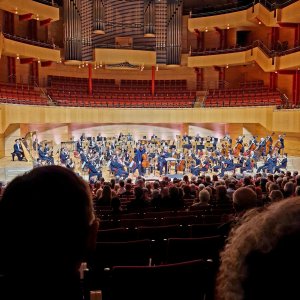 Ivan Karizna / London Philharmonic Orchestra Bild