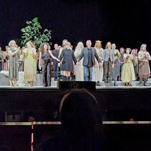 Die Fritjof-Saga Bild