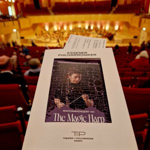 Sinfoniekonzert VIII Bild